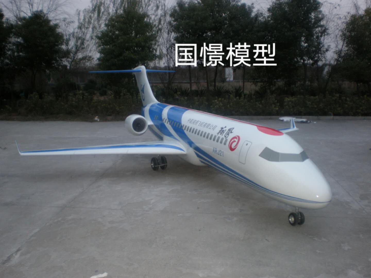 江陵县飞机模型